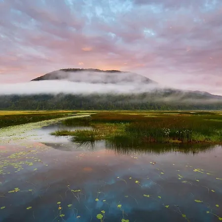 House Dijana With Pool - Happy Nova Vas (Bloke)