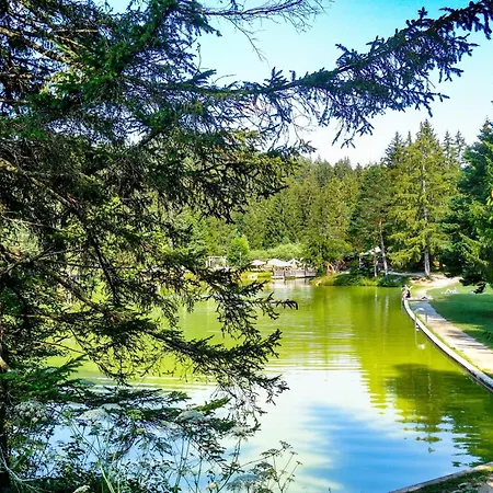 House Dijana With Pool - Happy Nova Vas (Bloke)