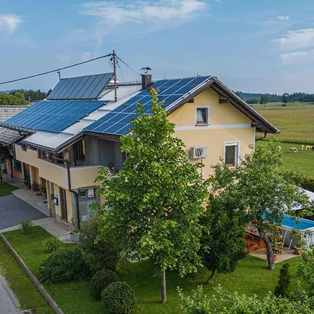 Daire House Dijana With Pool - Happy