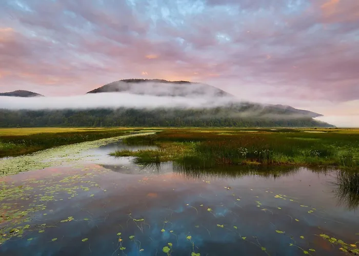 House Dijana With Pool - Happy Nova Vas (Bloke)