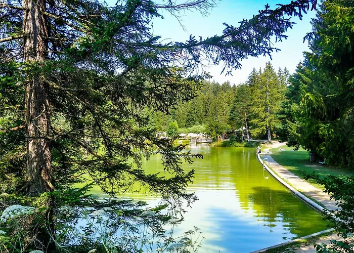 House Dijana With Pool - Happy Nova Vas (Bloke)