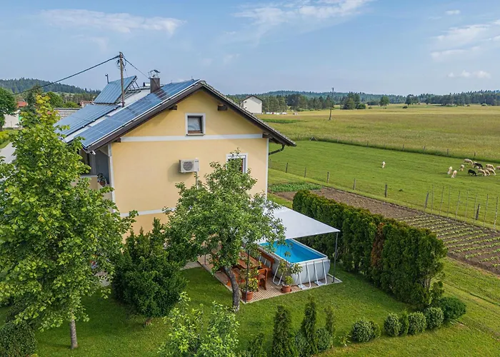 House Dijana With Pool - Happy * Nova Vas (Bloke)